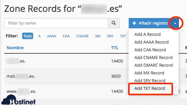 Cómo Añadir los Registros DNS de Office 365 en cPanel - Hostinet