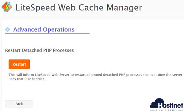 lscache on litespeed web server.