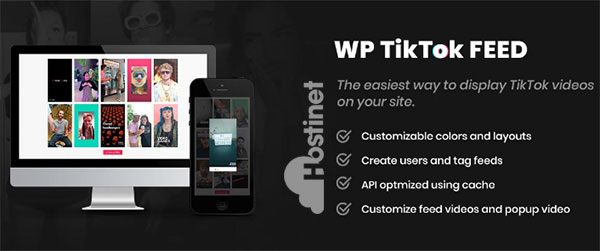 TikTok En WordPress